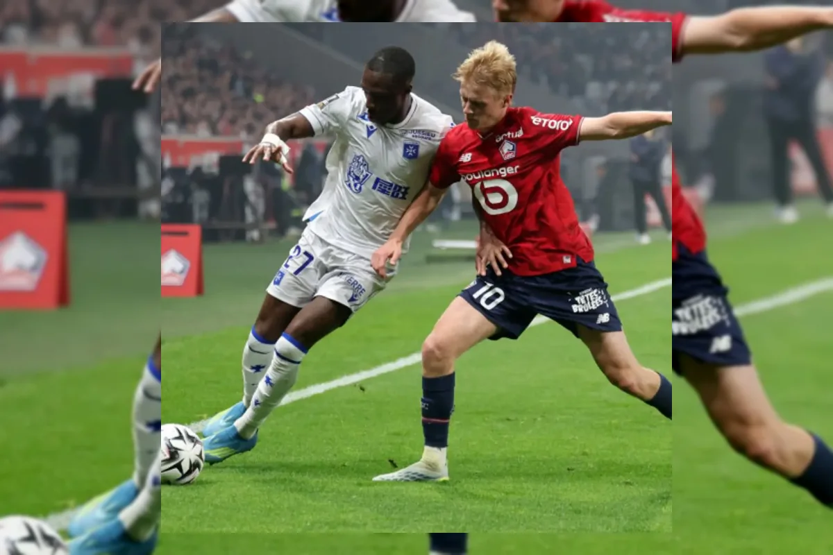 Lille Pastikan Tiket Liga Champions Usai Pekan Terakhir Ligue 1