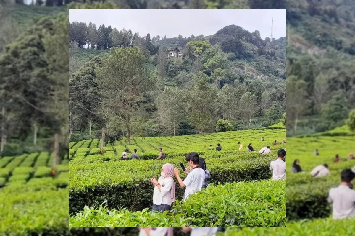 Ratusan Ribu Kendaraan Padati Jalur Puncak Selama Libur Panjang