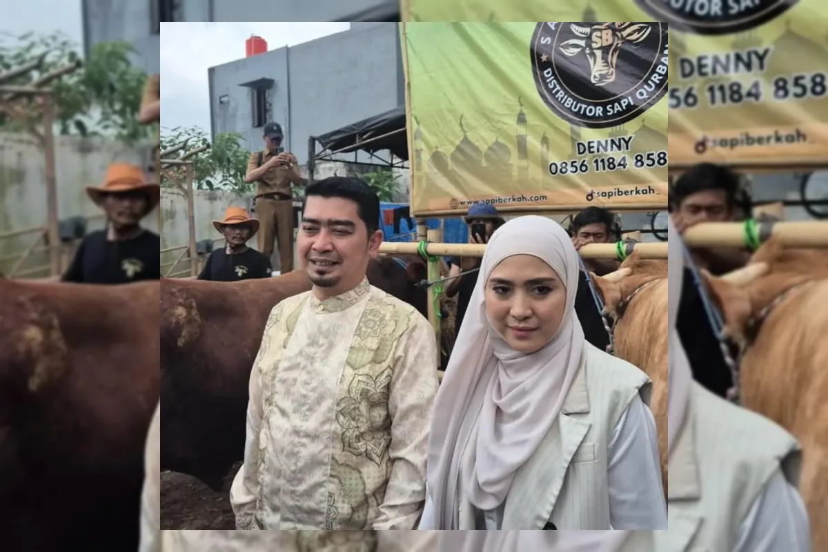 Ustaz Solmed Beli Sapi Kurban di Bekasi, Siapkan Empat Ekor untuk Idul Adha