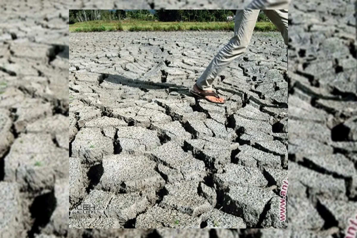 Sesar Busur Flores Picu Gempa Magnitudo 4,9 di Bima NTB