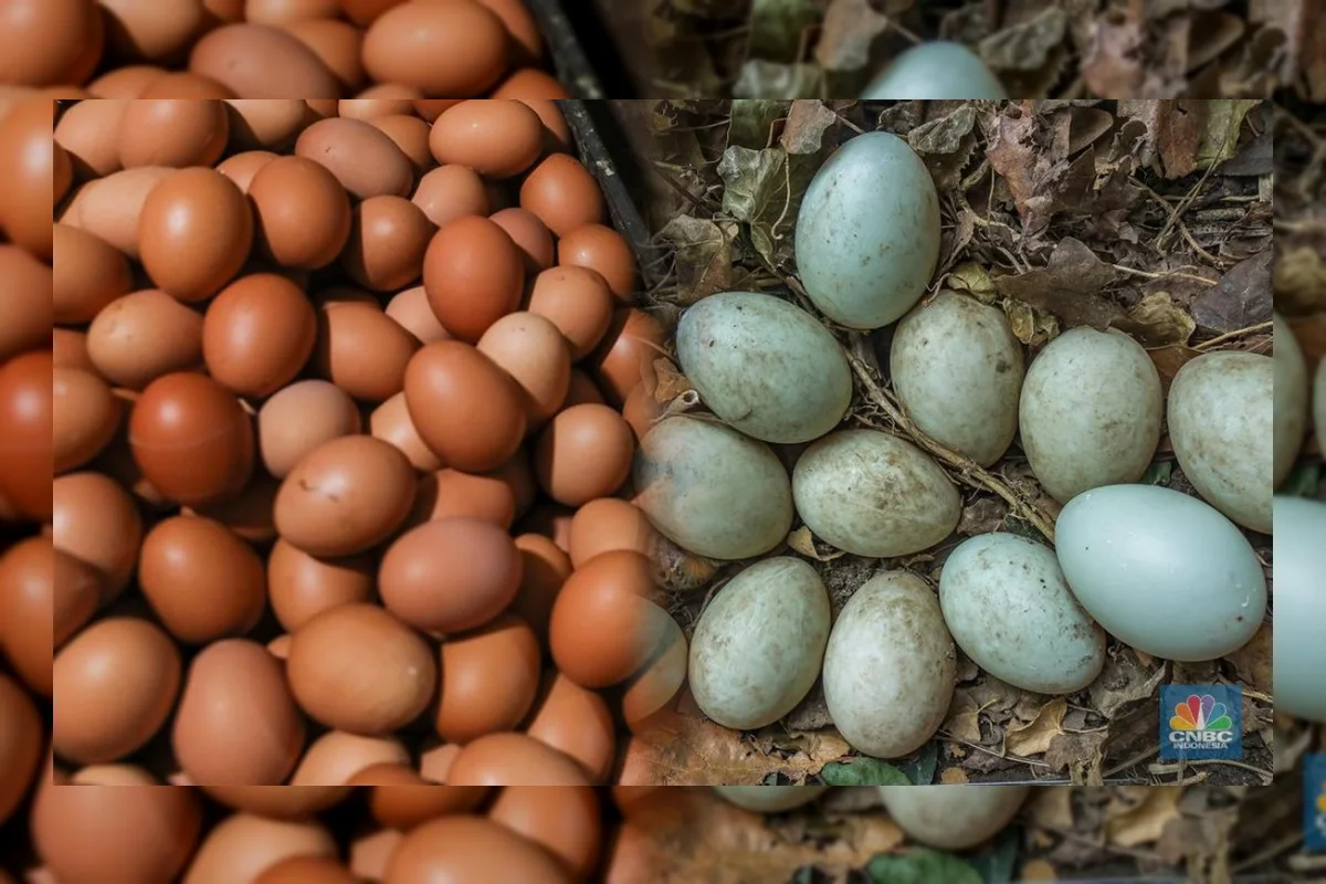 Telur Ayam vs Bebek: Mana yang Lebih Sehat? Ini Perbandingan Gizinya