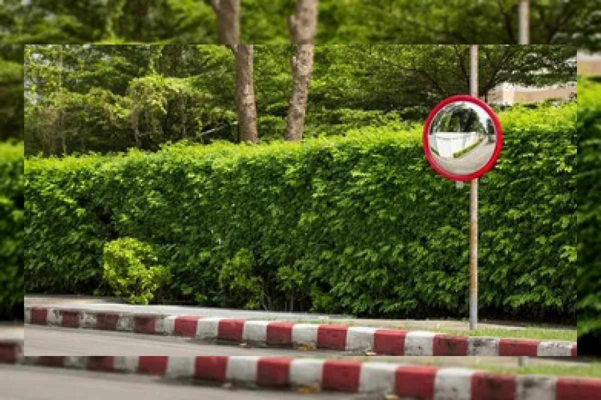 Wanita Obsesi Feng Shui Pindahkan Cermin Tikungan, Warga Resah