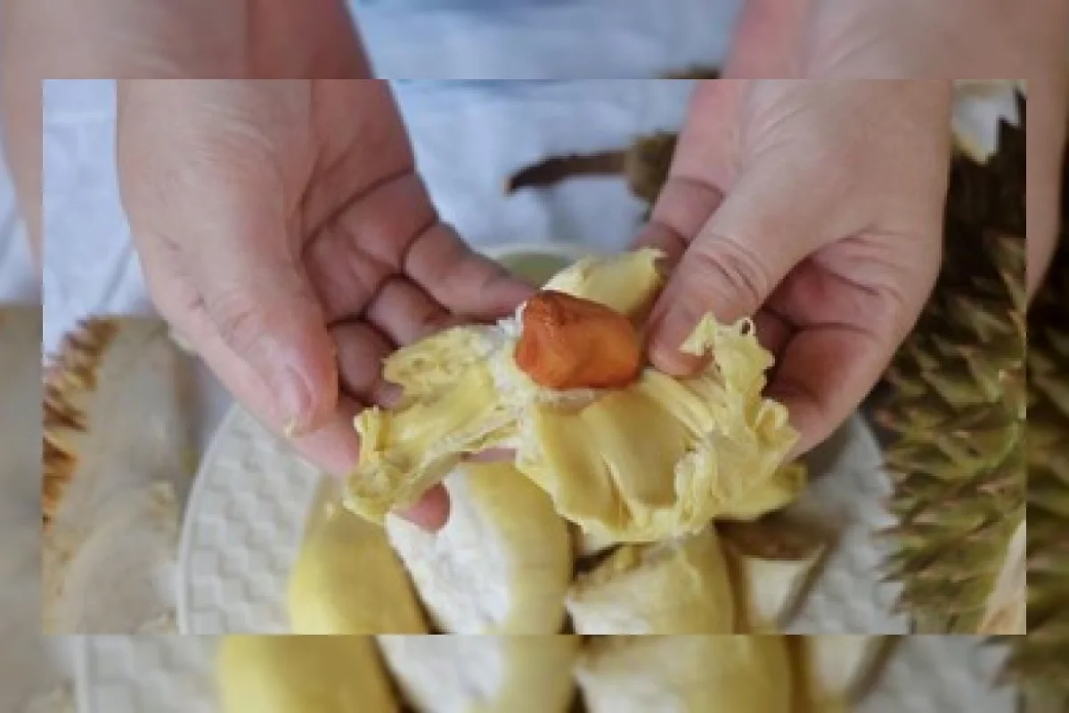Apakah Durian Mengandung Kolesterol? Ini Faktanya