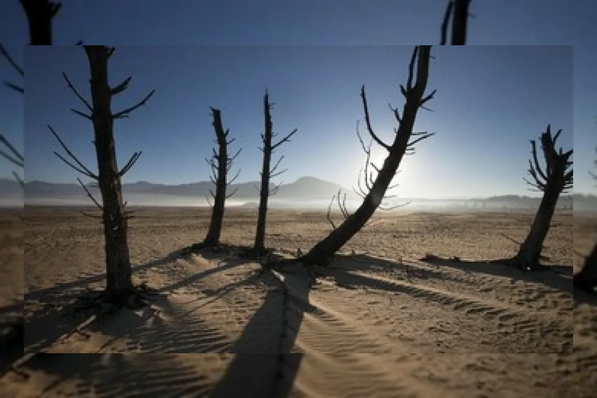 Fenomena El Nino Super Ancam Ekonomi Afrika dengan Kerugian Hingga Rp358 Triliun