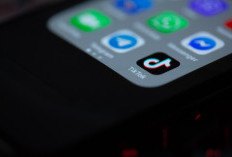 Apa Itu OECD Ialah? Berikut Makna dari Singkatan yang Viral, Cek Daftar 36 Negara yang Bergabung