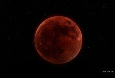 Link Live Streaming Gerhana Bulan Total 3 Maret 2026 Resmi BMKG dan Observatorium Bosscha