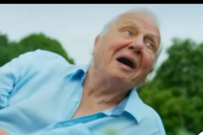 Rahasia Umur Panjang David Attenborough di Usia 100 Tahun Lewat 5 Kebiasaan Sederhana