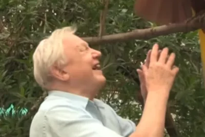 David Attenborough Genap 100 Tahun, Legenda Dokumenter Alam Inggris yang Menginspirasi Dunia