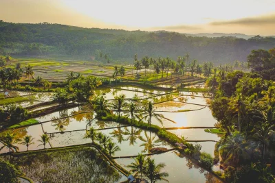 Mahasiswa IPB dan Unpad Hadirkan Solusi Inovatif di Desa Wisata Gunung Padang