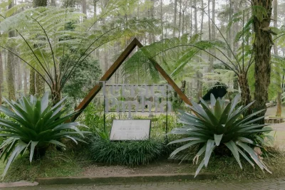 6 Inspirasi Layout Taman Belakang Minimalis Lahan Sempit Terbaru 2026