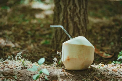 Nata de Coco Bisa Berstatus Haram? Ini Penjelasan MUI