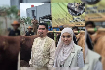 Ustaz Solmed Beli Sapi Kurban di Bekasi, Siapkan Empat Ekor untuk Idul Adha