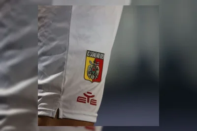 Catanzaro ke Final Playoff Serie B Meski Kalah dari Palermo