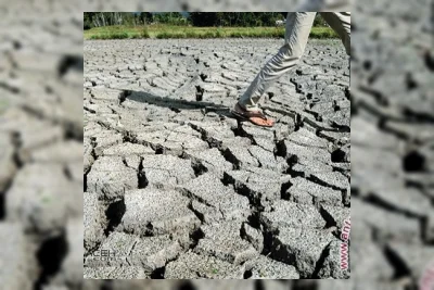 Sesar Busur Flores Picu Gempa Magnitudo 4,9 di Bima NTB