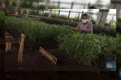 Jarang Ada Kangkung di Menu Rumah Sakit, Ternyata Ini Alasannya
