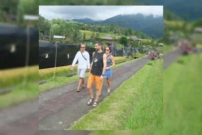 Alih Fungsi Lahan Ancam Kelestarian Subak di Denpasar