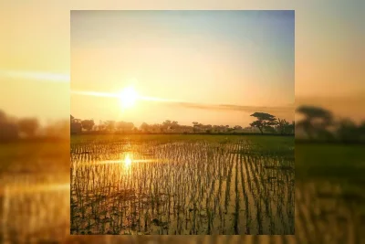 Penanggalan Jawa Online 22 Mei 2026 Diburu Masyarakat untuk Cari Hari Baik
