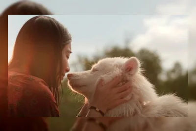 Review Film Gohan: Kisah Anjing yang Mengajarkan Makna Hidup