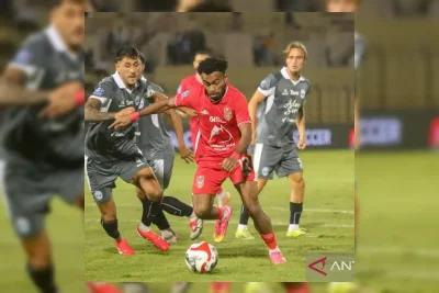 Persib dan Borneo FC Berebut Juara di Laga Pamungkas BRI Super League