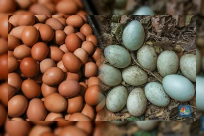 Telur Ayam vs Bebek: Mana yang Lebih Sehat? Ini Perbandingan Gizinya