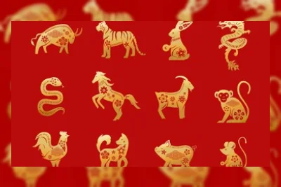 Angka Keberuntungan 12 Shio yang Sering Diburu untuk Hoki
