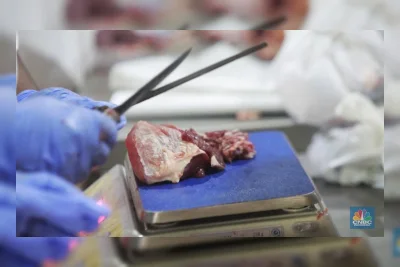 Daging Sapi vs Daging Kambing: Mana yang Lebih Tinggi Kolesterol?