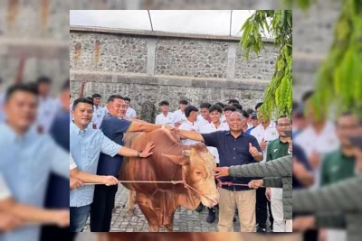Timnas Indonesia U19 Kurban Sapi Limosin 800 Kg di Sleman Jelang Piala AFF