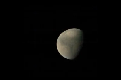 Ilmuwan Gunakan Jamur untuk Suburkan Tanah Mars
