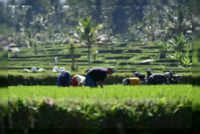 Prabowo Soroti Kesenjangan Ekonomi: Pertumbuhan Belum Merata