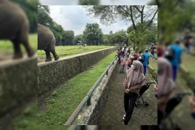 Anak Kecil Terperosok ke Parit Kandang Gajah Ragunan Akibat Lalai Pengawasan