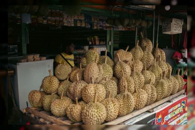 Viral: Komplotan Pencuri Durian Diarak Warga Sambil Bawa Barang Bukti