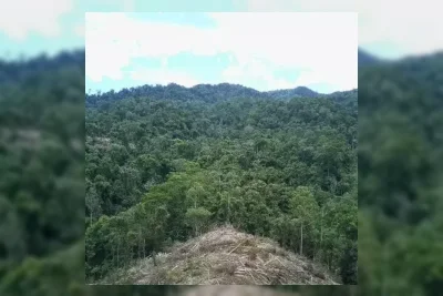 Kadin Dorong Hilirisasi Hasil Hutan Bukan Kayu di Humbang Hasundutan