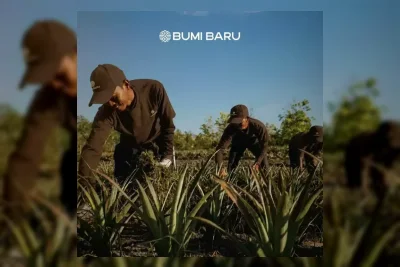 Bumibaru Indonesia Jaya Sulap Lahan Terdegradasi Jadi Perkebunan Produktif