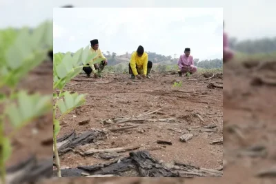 PBB Rilis Tema Hari Lingkungan Hidup Sedunia 2026: 'Inspired by Nature'