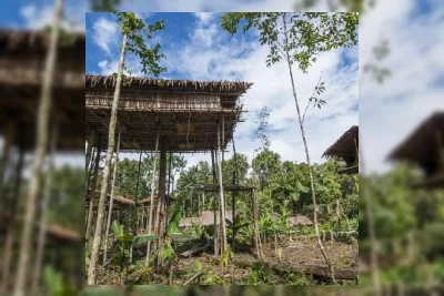 Suku Korowai Papua Membangun Rumah Pohon Unik Setinggi 35 Meter