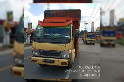 Kasus Pertama Parasit Screwworm pada Ternak Ditemukan di AS