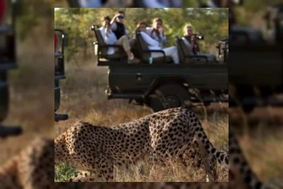 Polisi Selidiki Pembunuhan Dua Turis di Taman Nasional Kruger