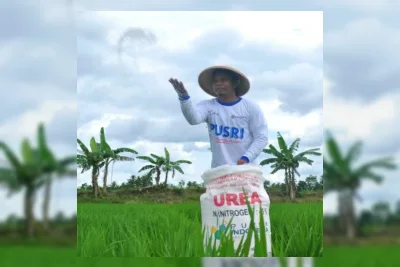 Pemerintah Jamin Stok Pupuk Aman dan Naikkan Harga Gabah Jadi Rp6.500 per Kg