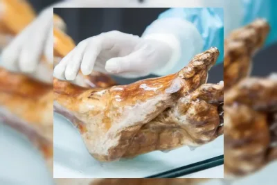 Peneliti Italia Berhasil Buat Sourdough Pakai Ragi Mumi Berusia 5.300 Tahun