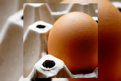 Telur Omega-3 Miliki Kandungan Asam Lemak Lima Kali Lebih Tinggi