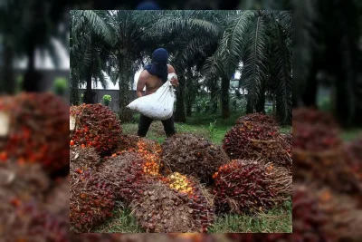 PT Danantara Sumberdaya Indonesia Ditunjuk sebagai Eksportir Satu Pintu Komoditas SDA