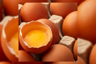 Memahami Perbedaan Kualitas Telur Grade B dan Khasiat Nutrisinya