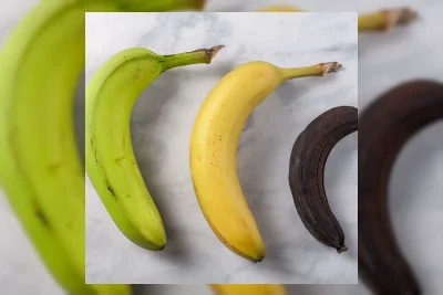 Hubungan Warna Kulit Pisang dengan Kandungan Nutrisinya