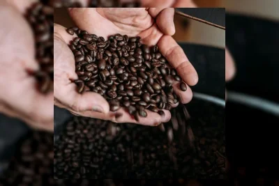 5 Biji Kopi Terbaik di Dunia Tahun 2026, Kopi Sumatra dan Toraja Masuk Daftar