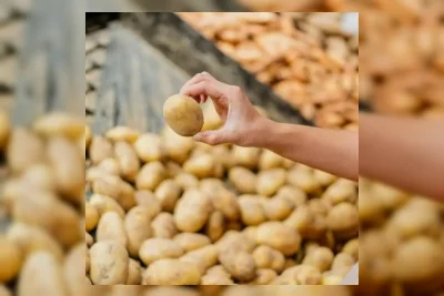 Pakar Kuliner Ungkap Cara Tepat Menyimpan Kentang agar Awet Segar