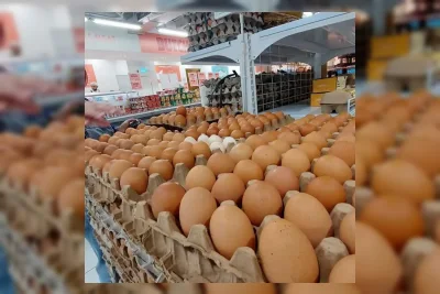 Bapanas Siapkan Skema Penyerapan Telur Hadapi Fluktuasi Harga Pangan
