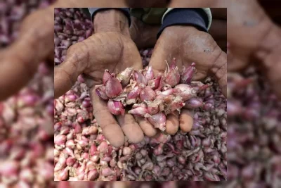 Ikappi Soroti Lonjakan Harga Bawang Merah di Pasar Tradisional
