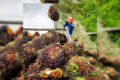 Pembentukan PT Danantara Sumber Daya Indonesia Diingatkan Risiko Kegagalan Operasional