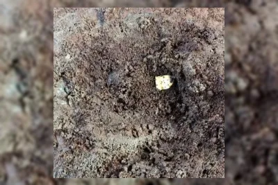 Disdikbud Magelang Pastikan Temuan Kepingan Emas di Candi Losari