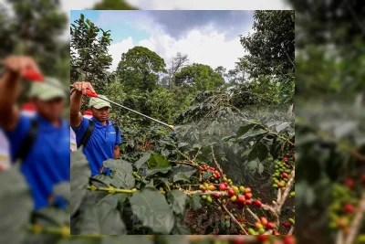 Bapanas Perketat Pengawasan Residu Pestisida pada Pangan Segar